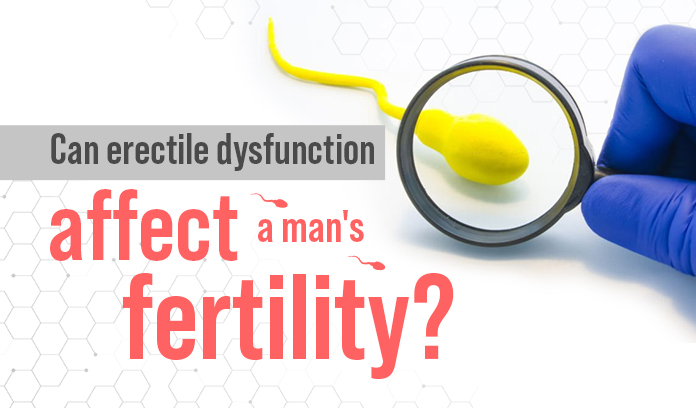 Impact on Male Fertility