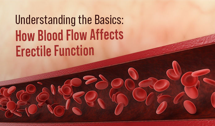 blood flow and erectile function